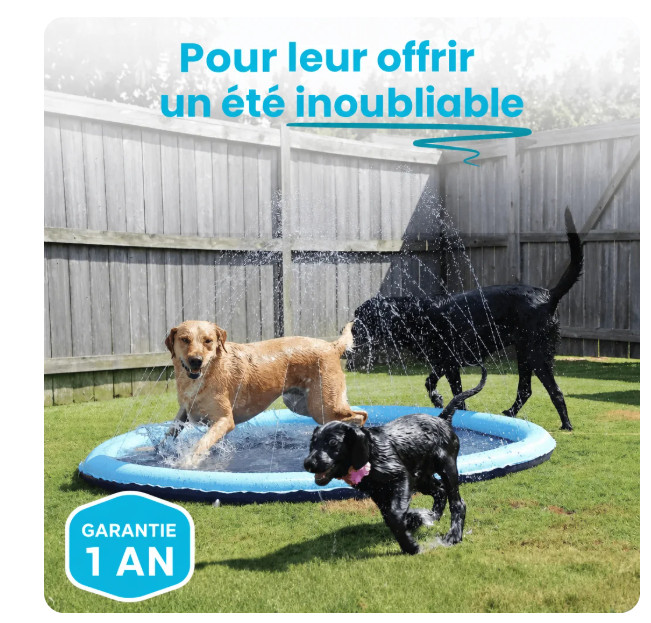 Le Splash Dog en action